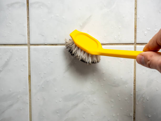 Best Mold Remediation for Schools in Lexington Hills, CA