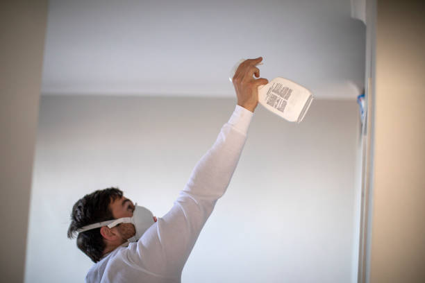 Best Mold Remediation for Schools in Lexington Hills, CA