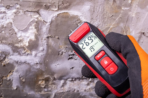Best Attic Mold Remediation in Lexington Hills, CA