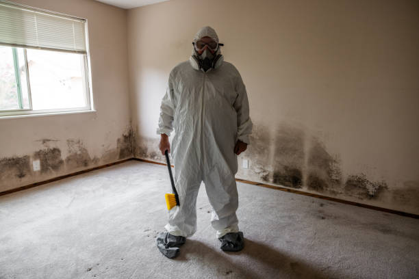 Best HVAC Mold Remediation in Lexington Hills, CA